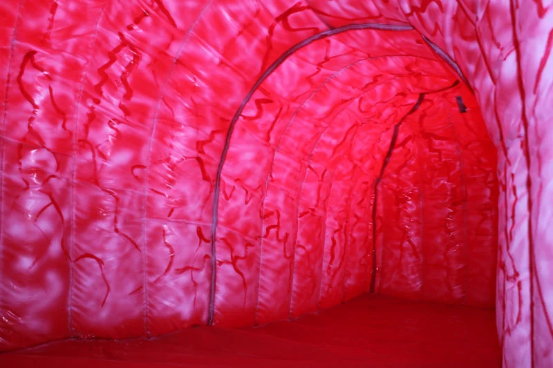 Structural detail of the exhibit