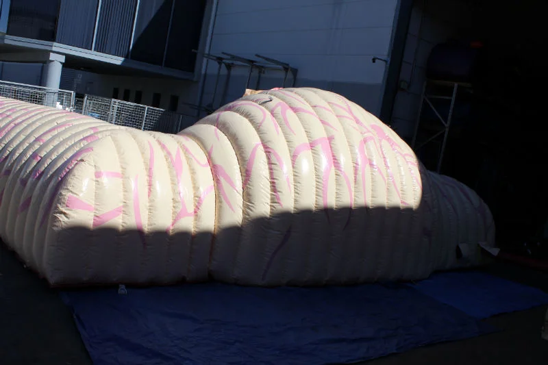 The complete digestive system exhibit inflated outdoors